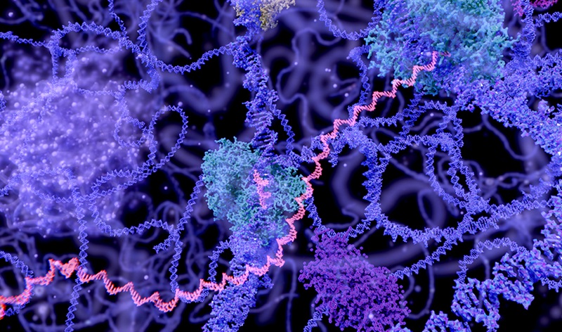 Enzymes